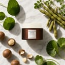 Skin1004 Probio-Cica Enrich Cream on surface with centella and botanical elements
